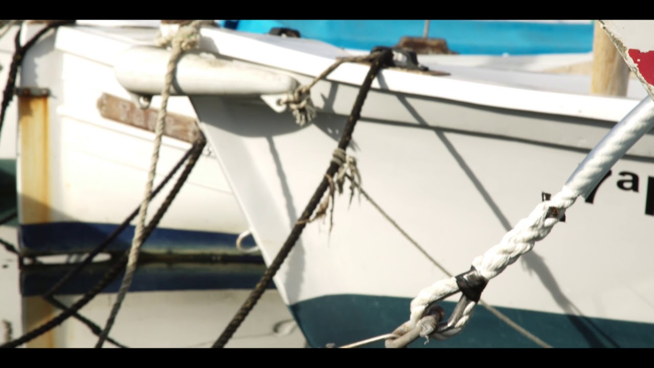 Magic Lantern RAW video Canon EOS 50D