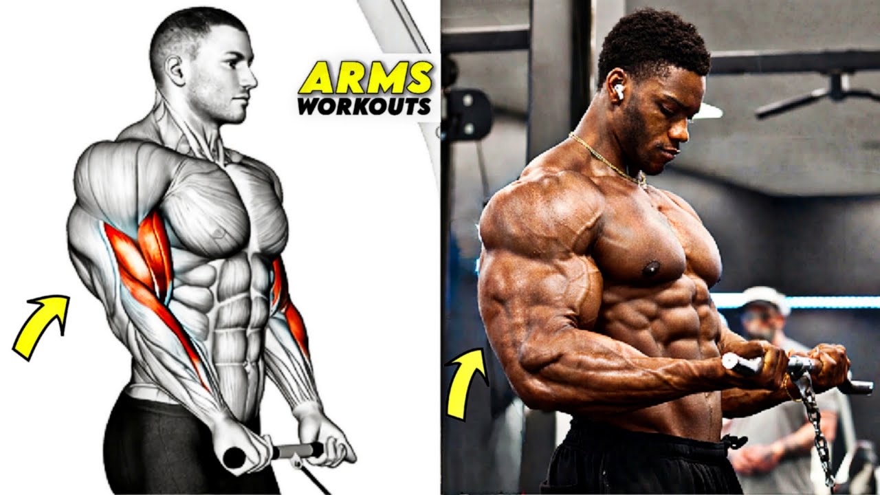 8 Best Arm Exercises for Bigger Biceps & Thicker Triceps 💪🔥