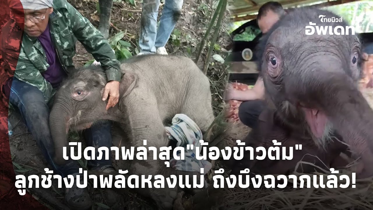 เปิดภาพล่าสุด 