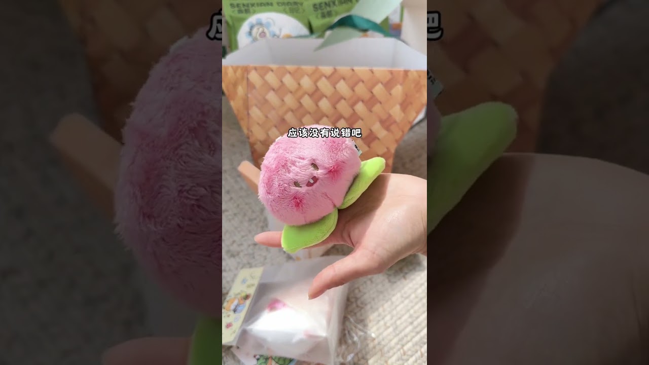 🛍️618 | SHARE一些限定购物日的小登西 本宠物圈购物🛍️达人又来分享了 总结一下 本期买的不是很开心💔 #开箱视频 #萌宠好物 #购物分享vlog #猫罐头 #我的开箱日常