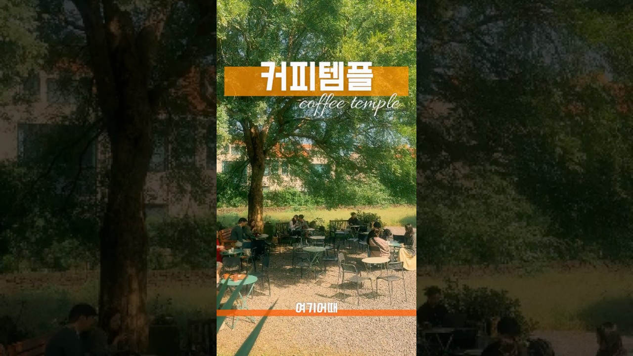 여기어때 31 - 커피템플 #jeju #제주 #제주여행 #여행 #cafe #카페 #10월여행지 #드립커피