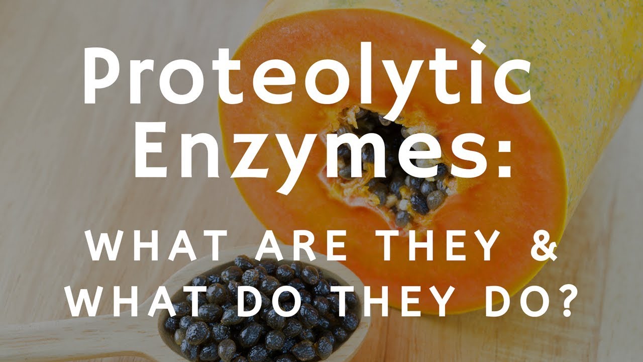 What Are Proteolytic Enzymes and What Do They Do?