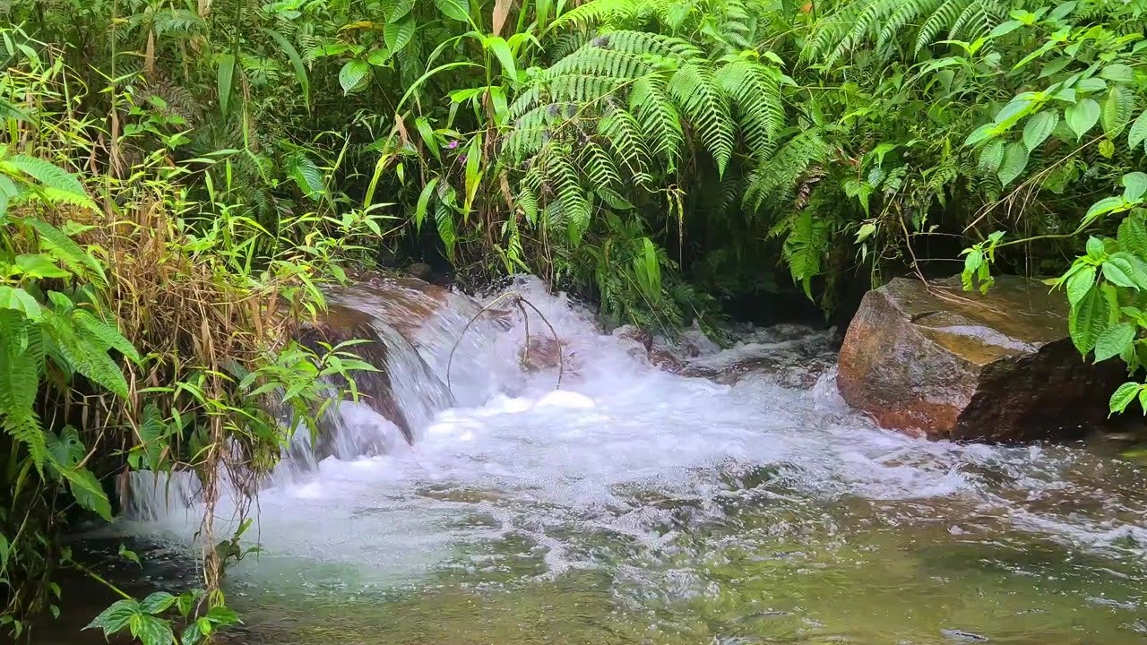 Tranquil Moonlight River – Calming Water Flow Sounds for Better Sleep Tonight