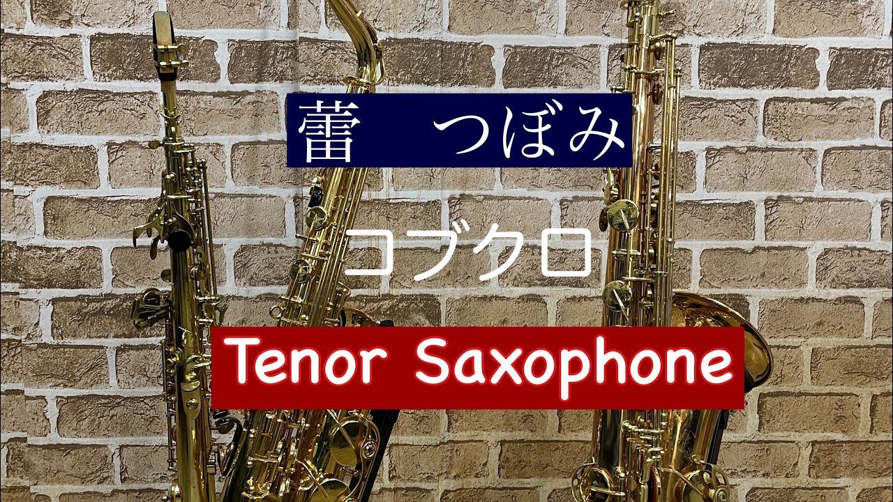 蕾　つぼみ　/  コブクロ　 【テナーサックス】 
