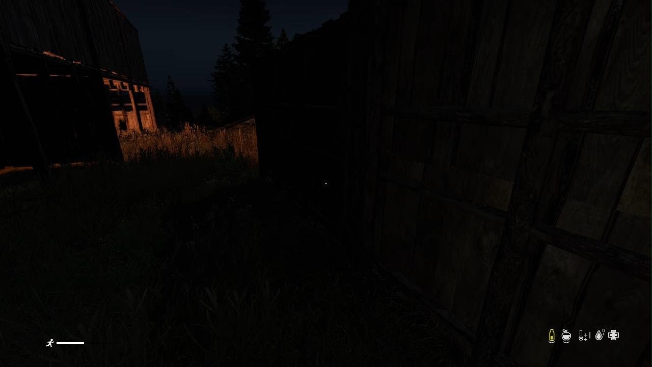 Dayz PS5  Virus RP 