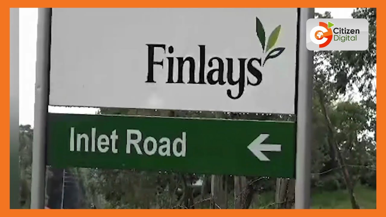 South rift leaders oppose sale of James Finlays tea company to Sri Lankan investors