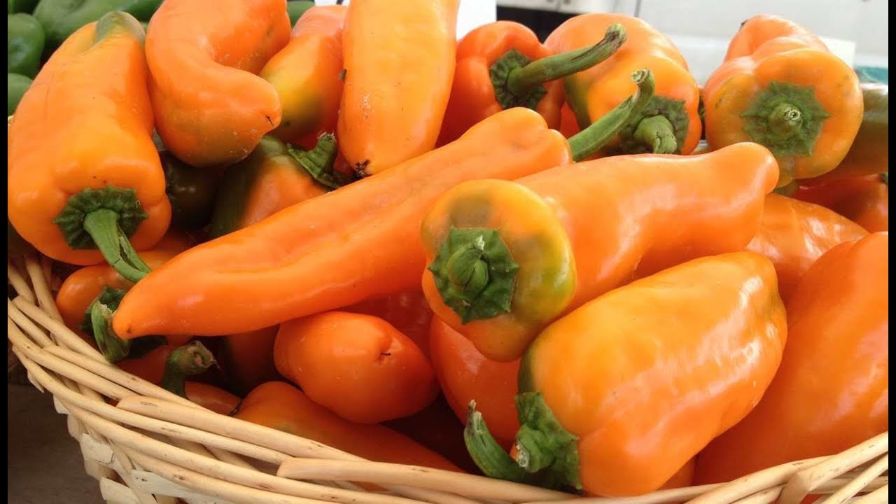 Baltimore photographer research: How to roast peppers - bbq grilled pepper recipe