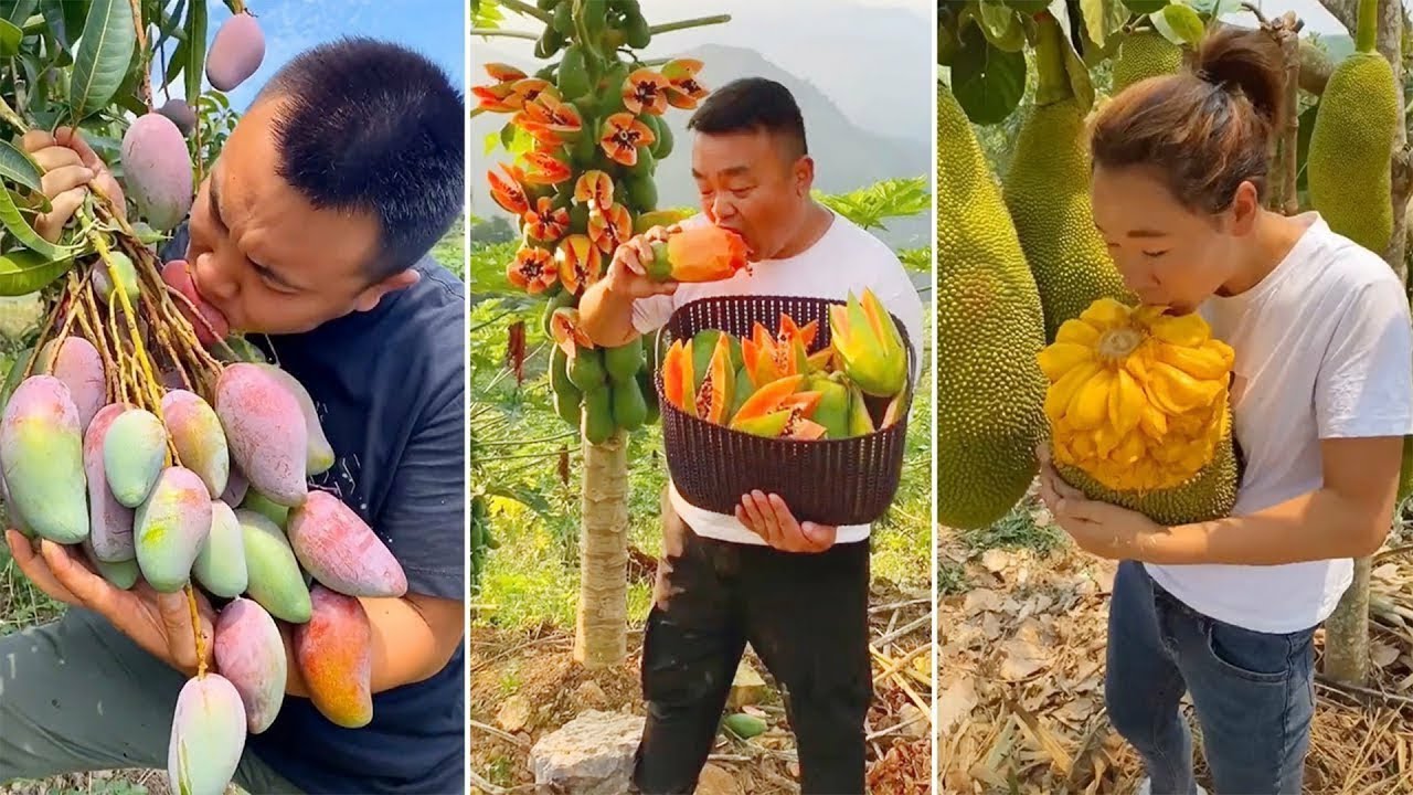 চীনের আসল রাক্ষস মানুষ দেখুন😮ফলগুলো না দেখলে জীবন ব্যর্থ Farm Fresh Ninja Fruit Q Fact Bangla