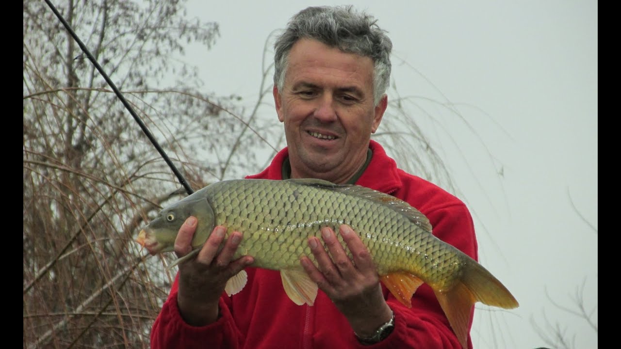 TOP MIX SZÚNYOGLÁRVÁS TERMÉKCSALÁD - HOROGRA AKADVA TV