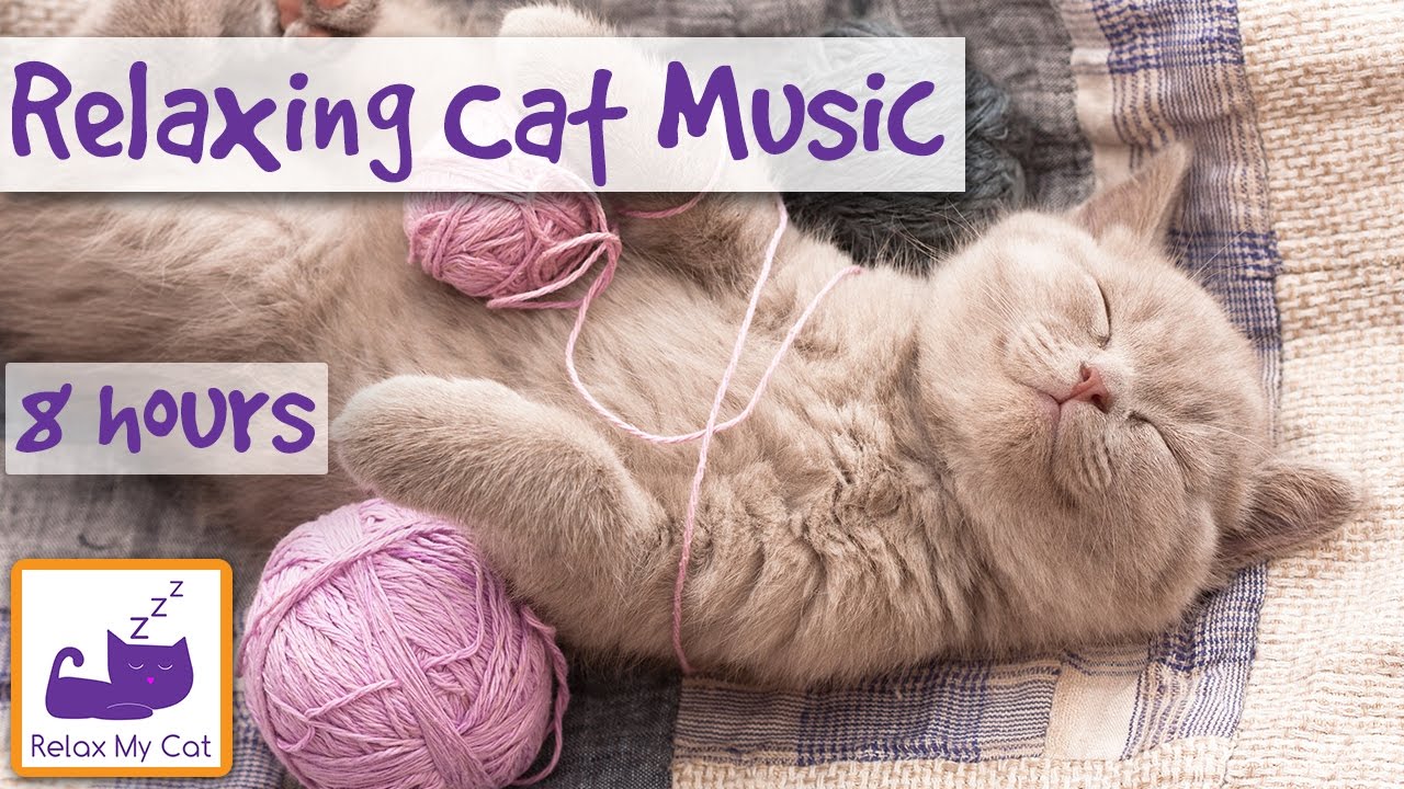 Extra Long Video of Sleep Music for Cats! Help Your Cat Sleep With 8 Hours of Relaxing Music