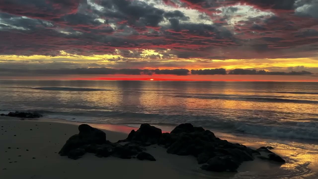 ✅ vibe latina 2026🌹🎶🌴