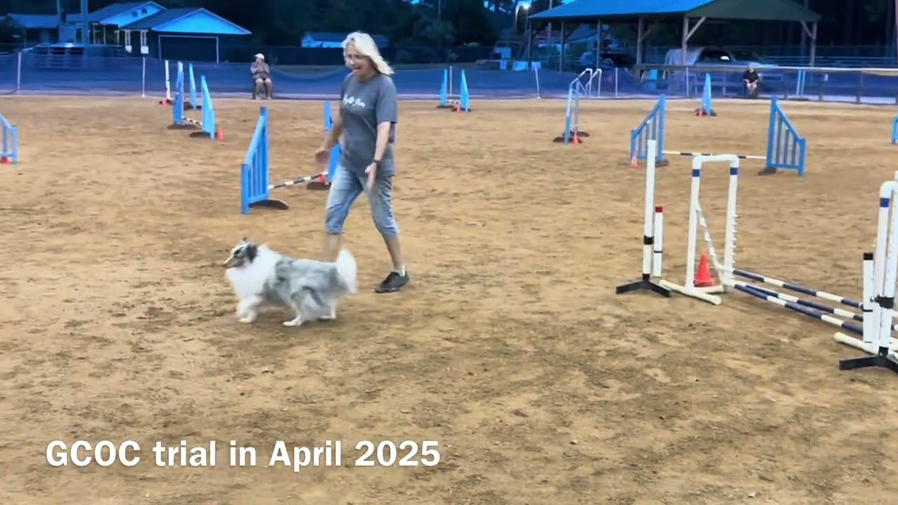 Look how far Keeper has come!