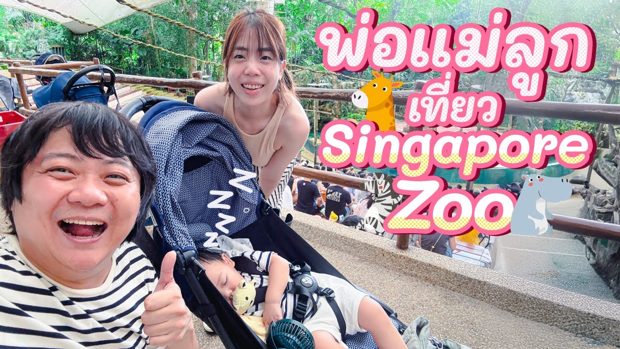 พ่อแม่ลูกเที่ยว Singapore Zoo 🐯🦒🦓🦝🦁 - แม่บ้าน YouTube