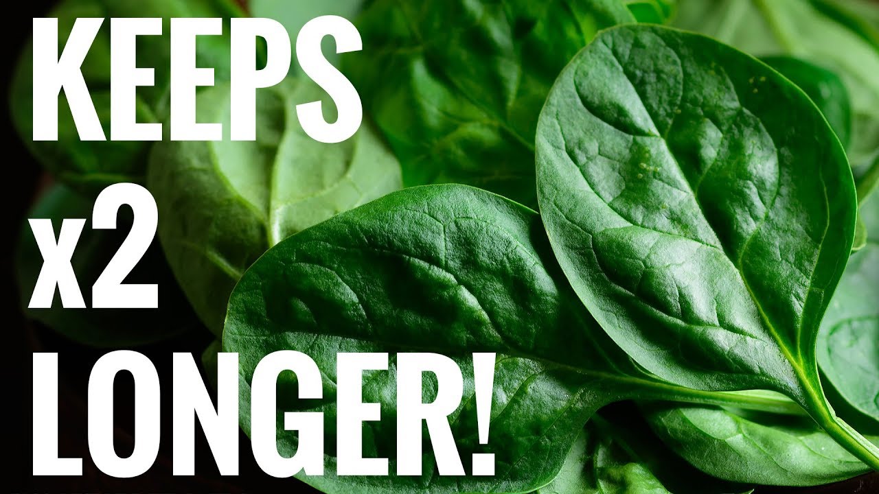 Quick Tip - Easiest Way to Keep Spinach Fresh For Longer (Works with ANY green)