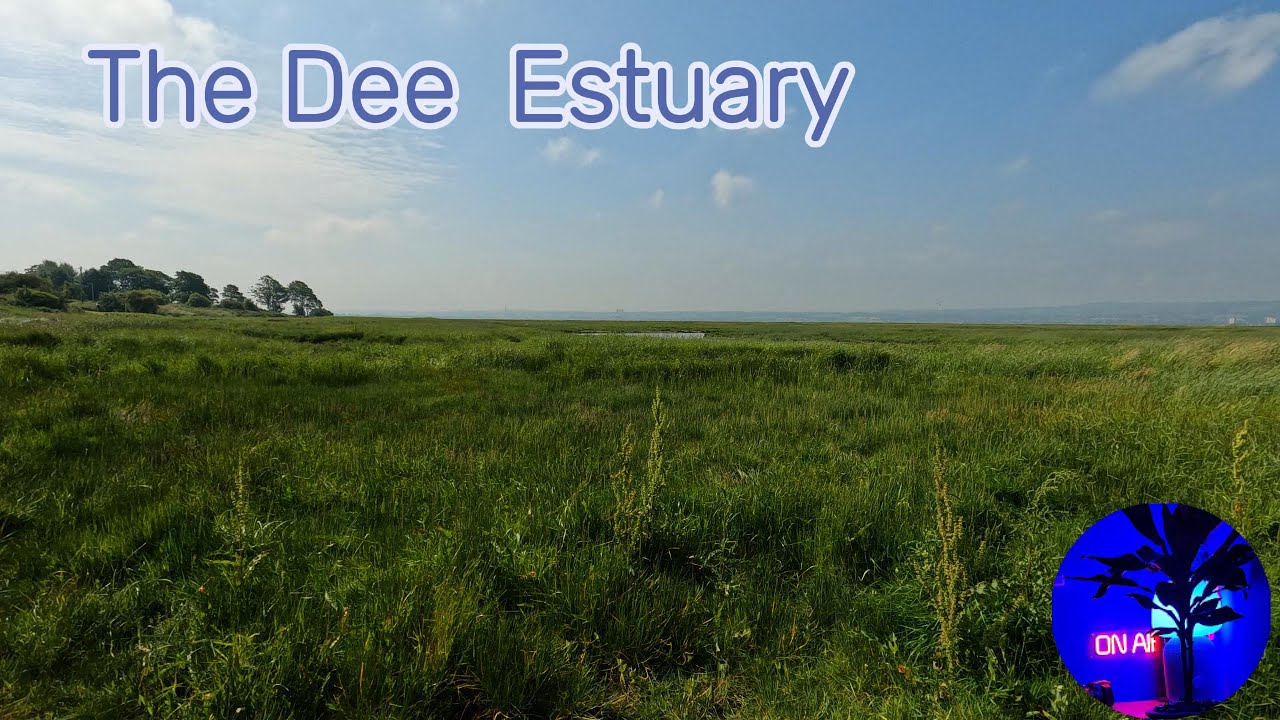 The Dee Estuary