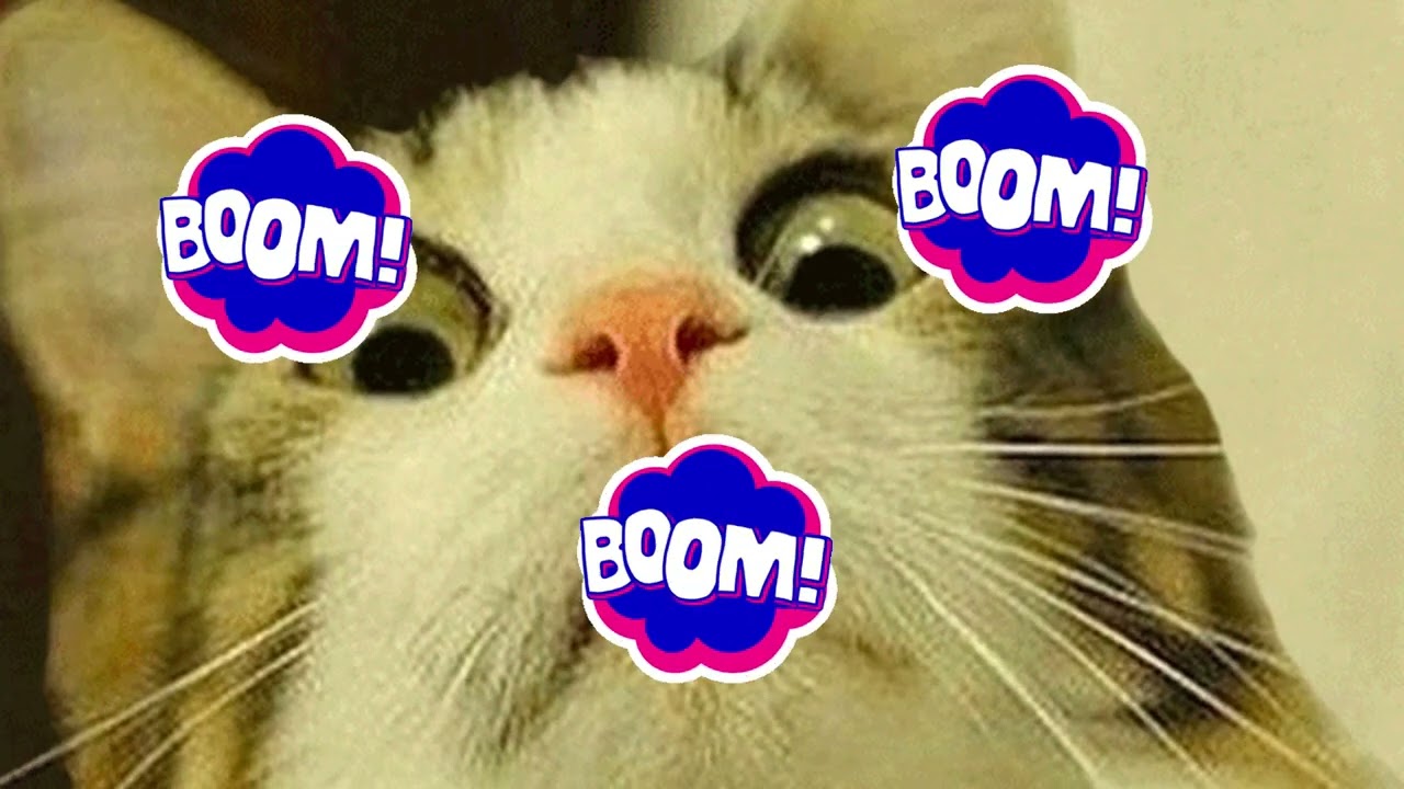 Boom Zip Wah
