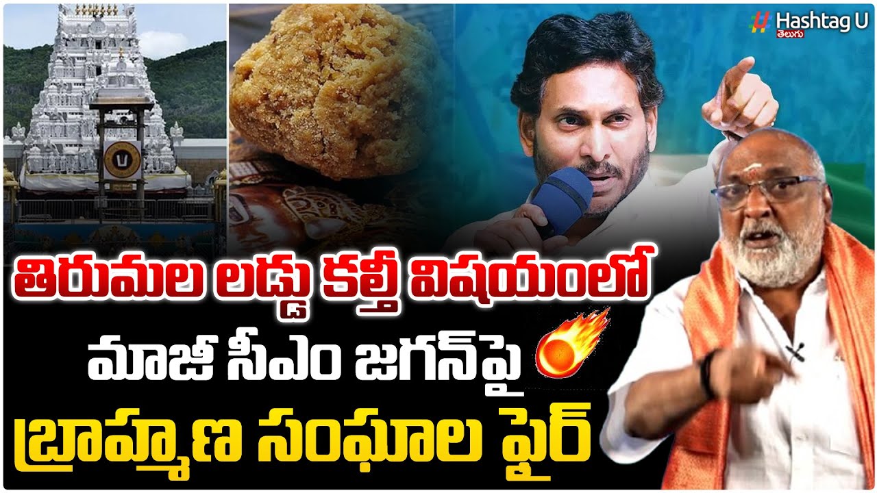 ప్రసాదంలో కల్తీ ఆరోపణలు|AP Brahmins Fire on Jagan regarding Tirumala Laddu Prasadam adulteration|#U