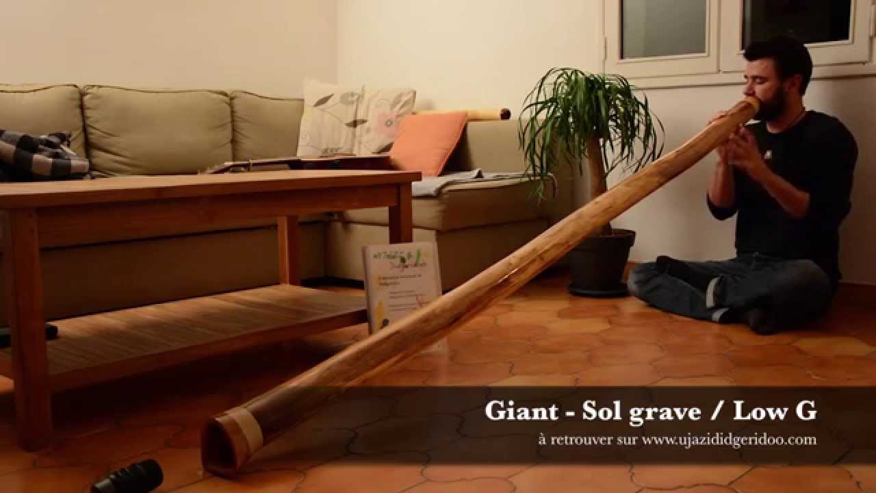 Ujazi Didgeridoo - Giant - Low G / Sol