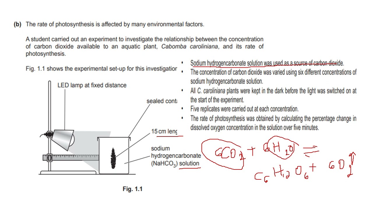 Solved: May/June 2021 Paper 4 V1 Part 1