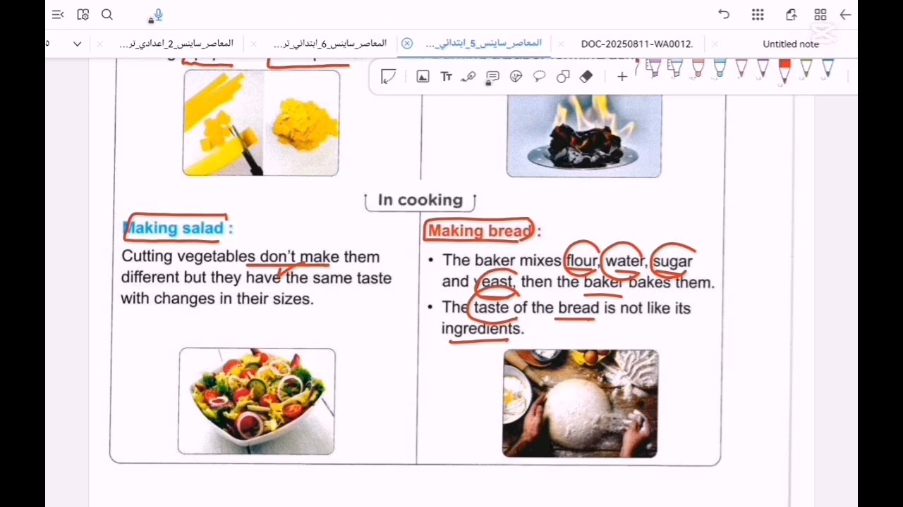 Science prim 5 unit 2 concept 3 lesson 4 