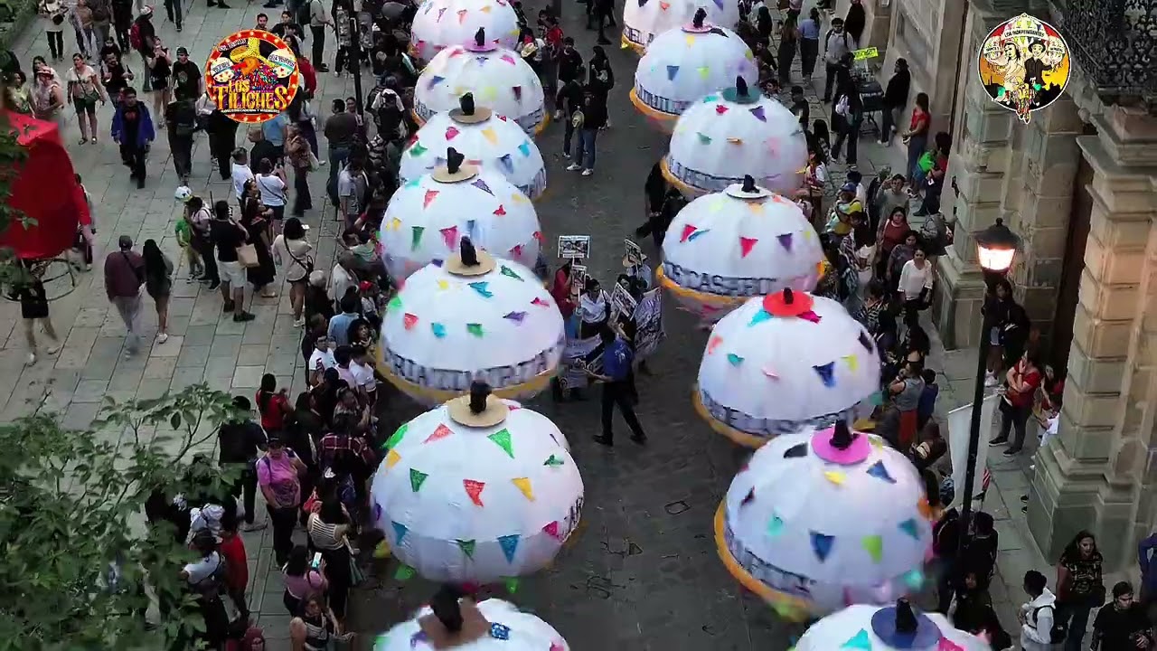 Más De 35 MARMOTAS EN OAXACA 😦