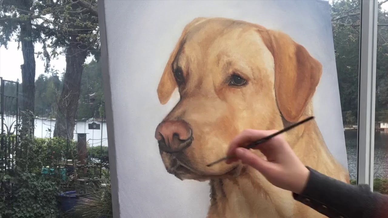 How to Paint a Yellow Lab in Oil - speed painting