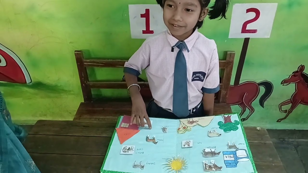 TATA VIDYALAYA BHIRA  [ SCIENCE EXHIBITION  ] 2026 
