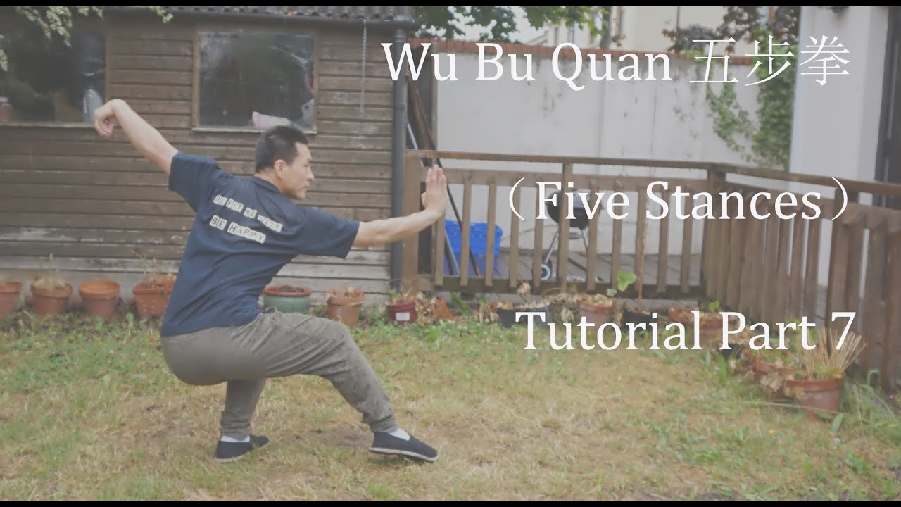 Wu Bu Quan 五步拳 (Five stances form) Part 7 -Completion -Master Yan Xin