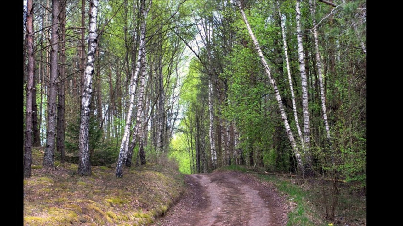 Takelis veda vėl namo