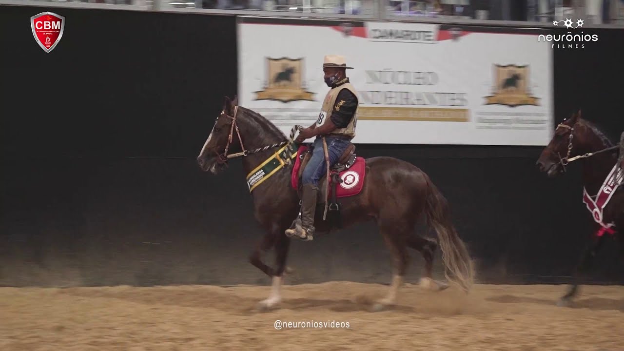 Campeões Brasileiros de Marcha Batida Cavalos 2020