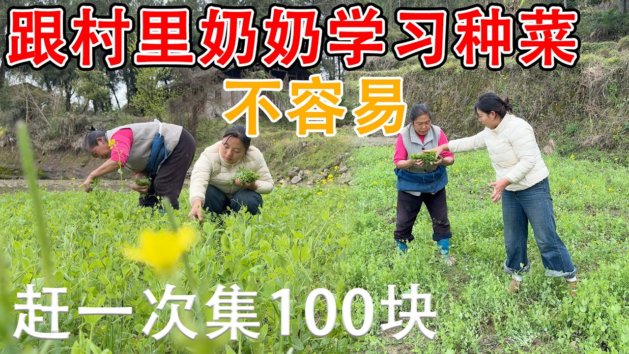 跟村里奶奶学习种菜，以后吃不完的蔬菜也可以拿去街上买，赶一次集能卖一百多