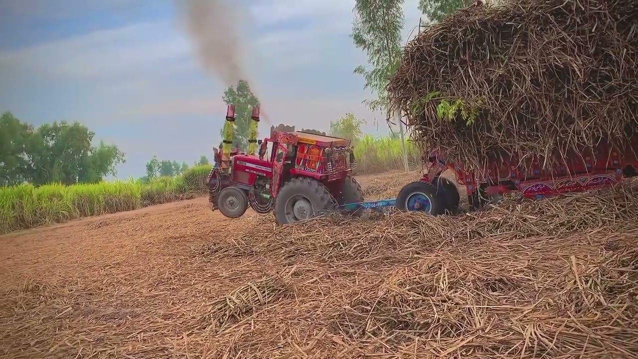 Pakistan tractor driver tractor #farming #tractorglobal 
