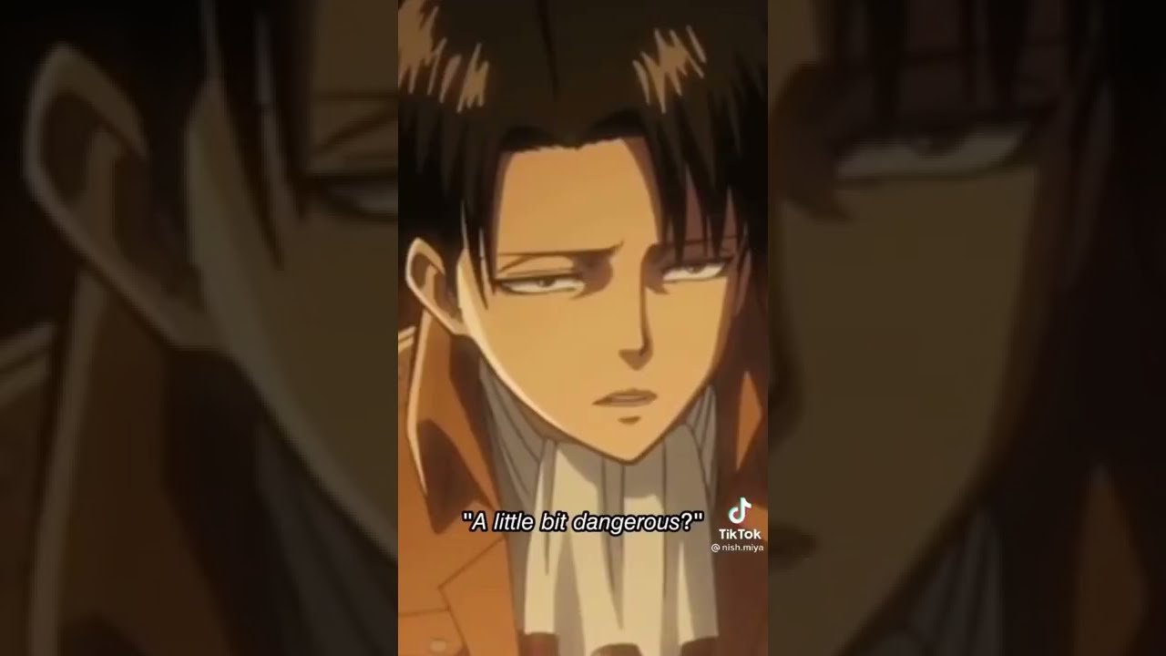 Levi x y/n - Tiktok Compilation Part 1