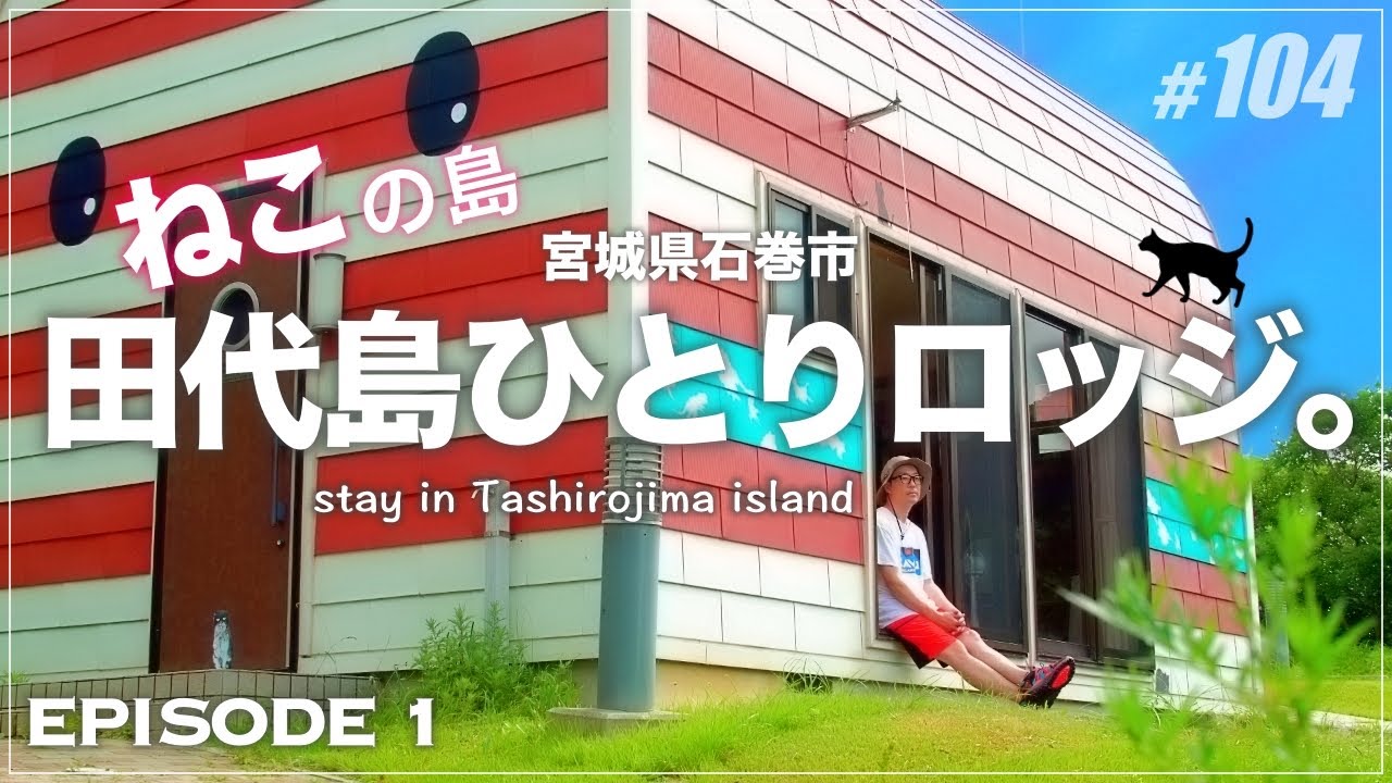 【田代島 EP1】ロッジ泊のあれこれとスローな島時間をお届けするよ／猫たちの朝食／the cat island TASHIROJIMA