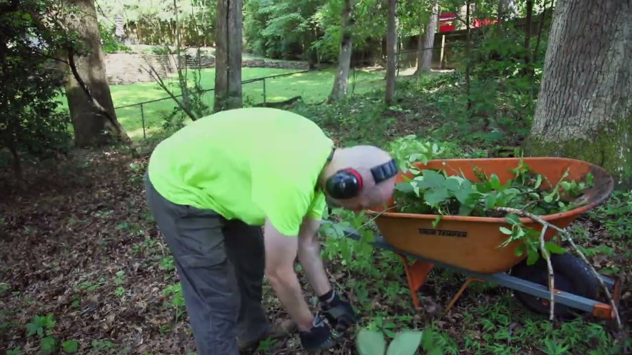 Clearing weeds out from my backyard