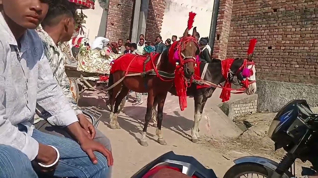 आज हम गए थे शादी में।।