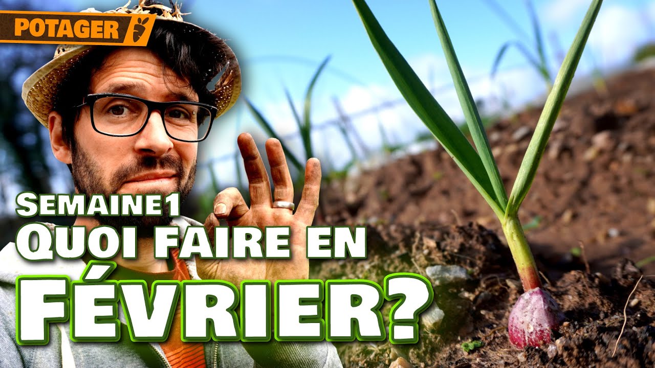 🌱 Potager en février – Semaine 1 : semis, plantations & taille