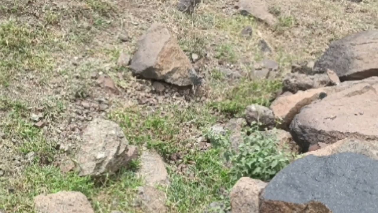 The Ancient Yemeni Terraces Engineering Masterpieces for Sustainable Agriculture