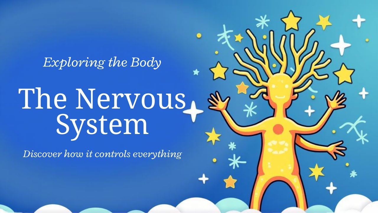 The Nervous System