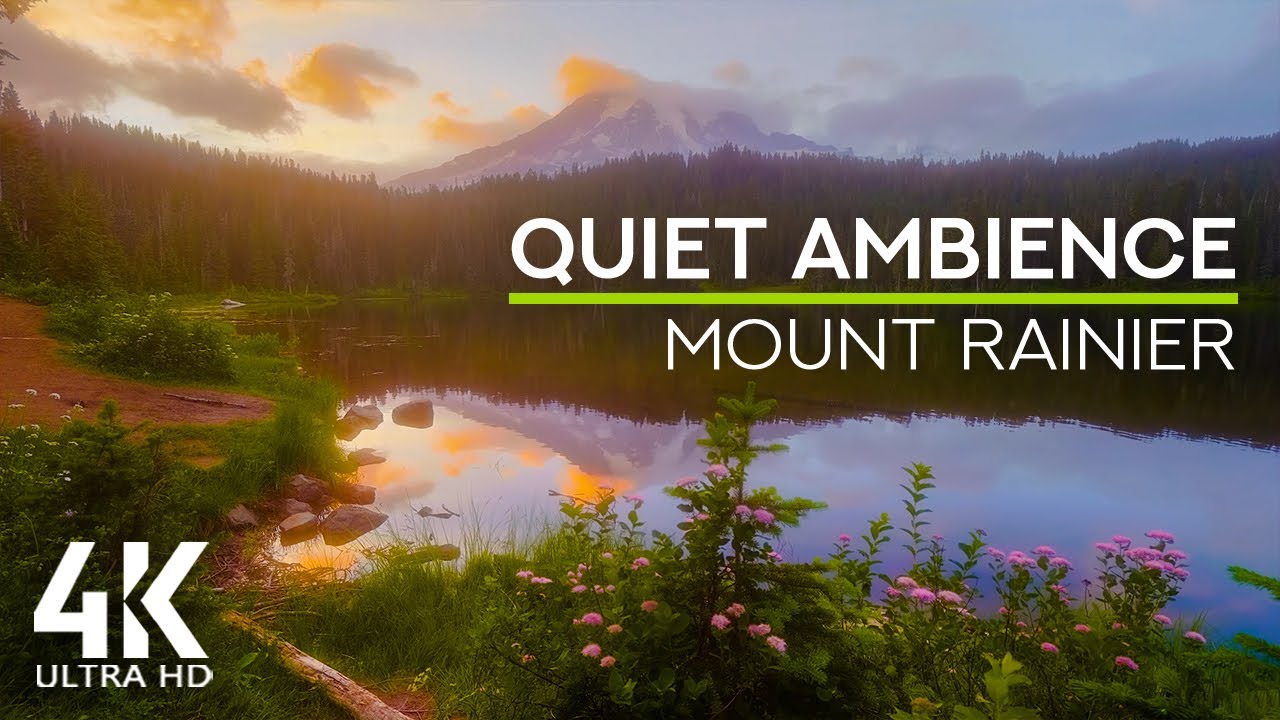 8 HRS Quiet Ambience of Mount Rainier National Park with Gentle Sounds of Lake & Birds Chirping
