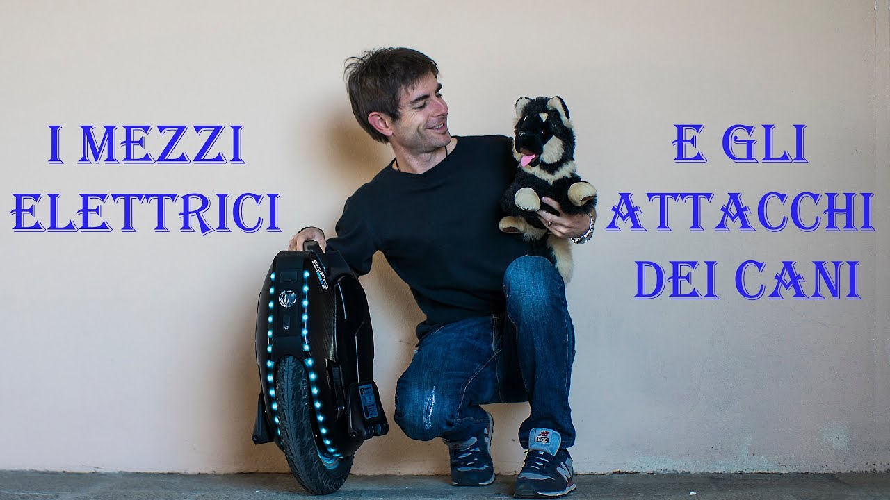 I mezzi elettrici e gli attacchi dei cani: come affrontarli e info legali