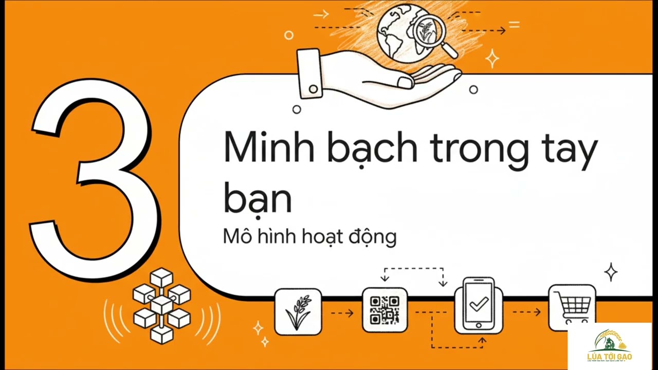 BẠN CÓ THỰC SỰ BIẾT HẠT GẠO MÌNH ĂN HÔM NAY ĐƯỢC 
