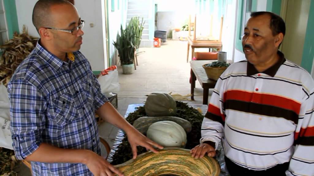 Cabo Verde Na Top & Fotoreporter Em Reportagem Na Ilha Brava