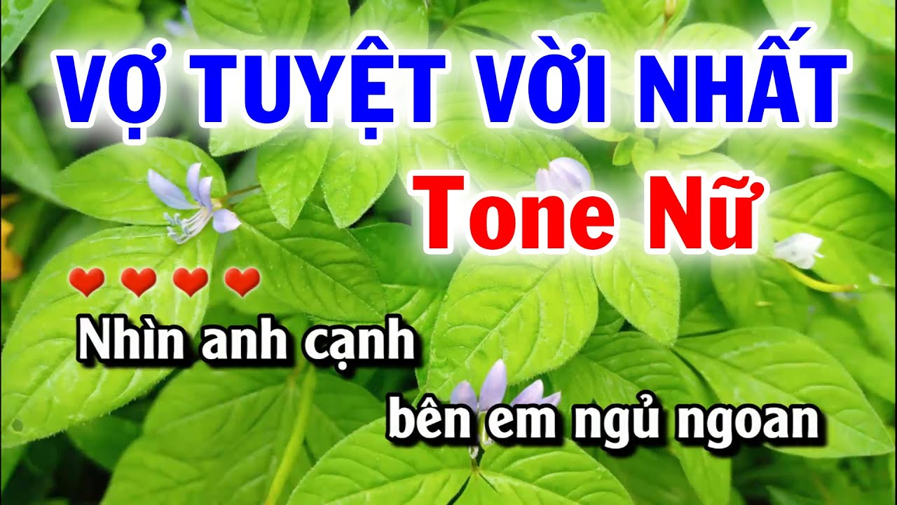 Karaoke Vợ Tuyệt Vời Nhất- Tone Nữ- Nhạc Sống Tuyết Mai