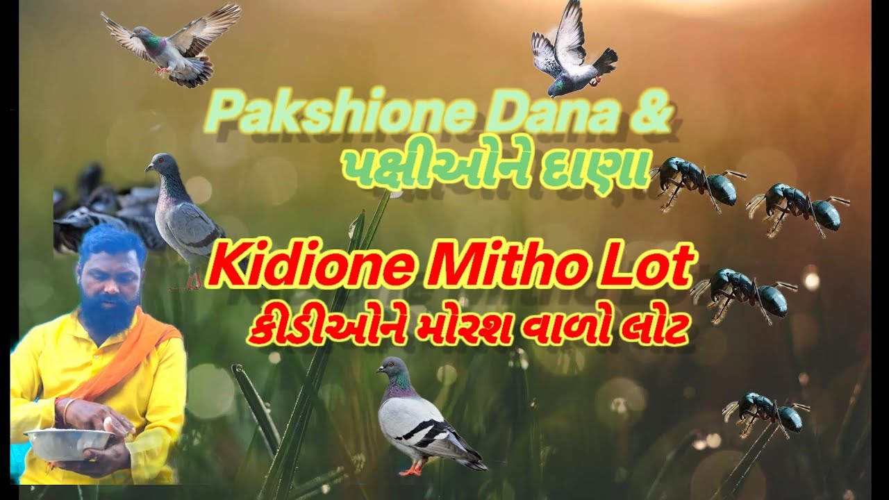 Jogni mani sheva/Makode Mitho Lot/Pakshi ne Dana/Gayne Rotli..