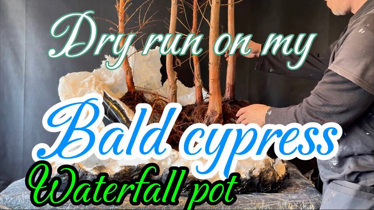 Pt3 testing the trees in my massive mountain waterfall bonsai forest pot 