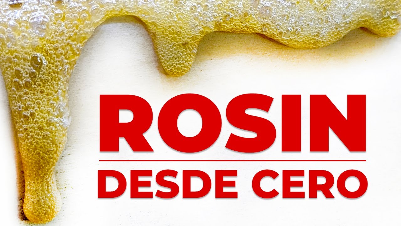 TUTORIAL 🍯 Extracci&oacute;n de ROSIN con PRENSA