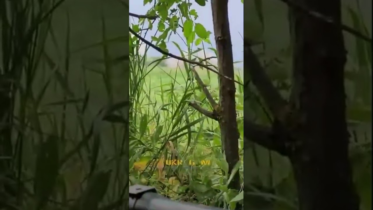 Rus artillery destroy Ukrainian tanks