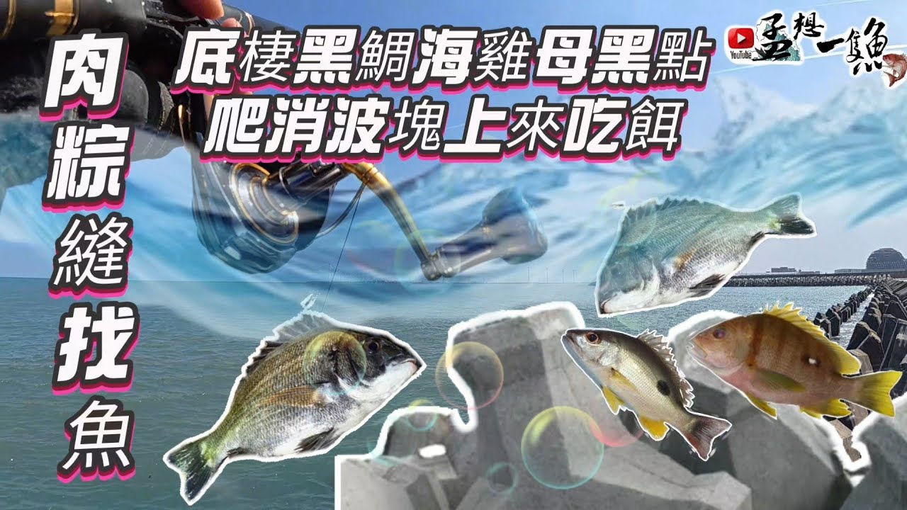 肉粽縫裡都是底棲魚，鹿港魚竟然會爬樓梯，滿潮一隻竿子半深，魚只咬一尋水180cm釣組的深度