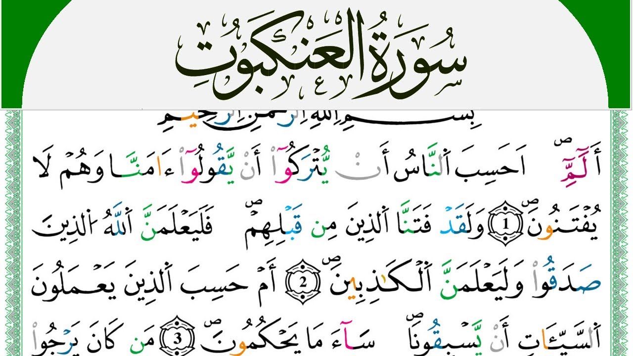 سورة العنكبوت مكتوبة محمد سايد Surah Al Ankabot  برواية ورش عن نافع من طريق الازرق
